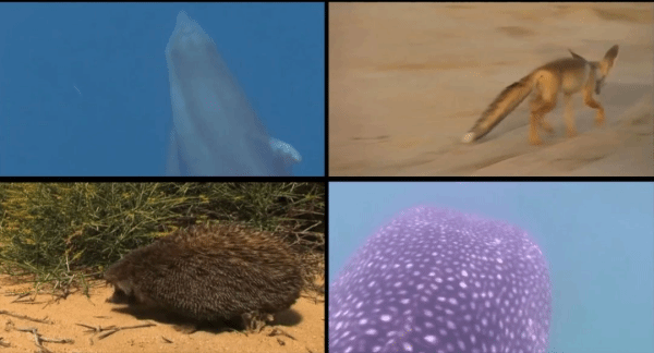 15C277DB515771AF3821101986F_F57180EE_1352E