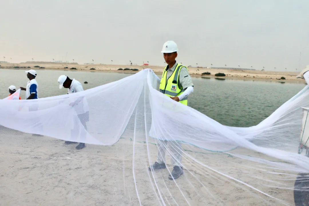 首页-PA真人集团有限公司官网