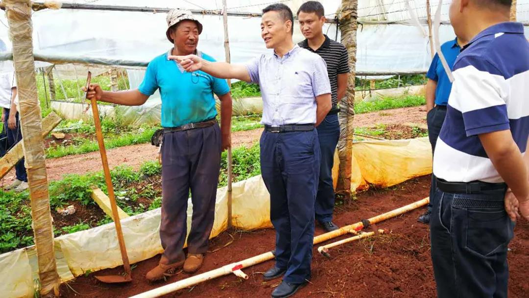 首页-PA真人集团有限公司官网