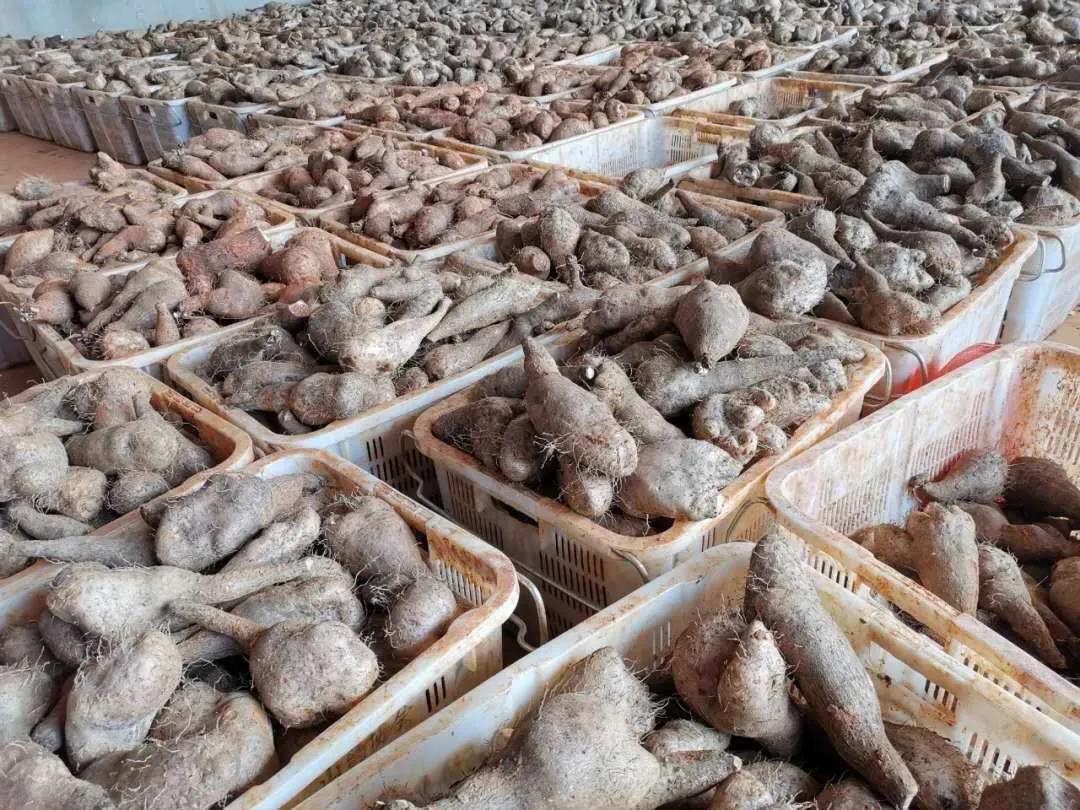 首页-PA真人集团有限公司官网