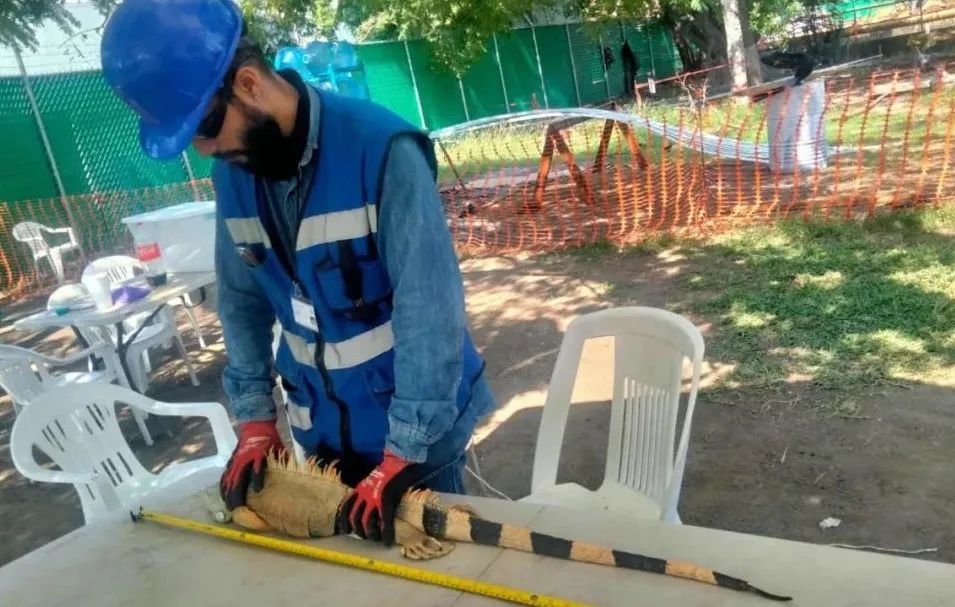 首页-PA真人集团有限公司官网