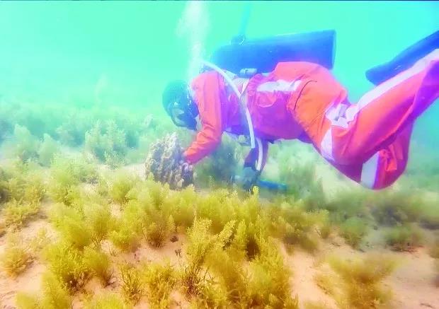 首页-PA真人集团有限公司官网