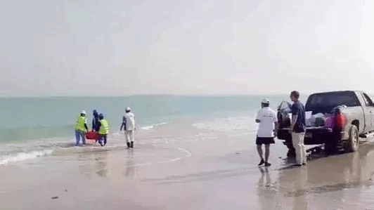 A5588D213C4DAF8EAD8D6E85BDF_20B73675_B7B3