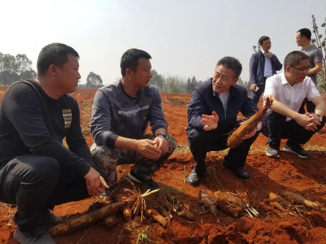 首页-PA真人集团有限公司官网